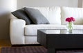 Modern white living room with pink daisies Royalty Free Stock Photo