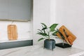 Modern white marble kitchen in new moved studio flat. Decorative green plant and knife rack