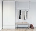 modern white and metal open style wardrobe with women clothes hanging on pipe rail in walk in closet, interior design