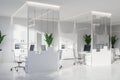 Modern white office with bookcases Royalty Free Stock Photo