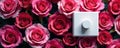 Modern white toggle switch against bold rose wallpaper, floral, floral print, minimalist Royalty Free Stock Photo