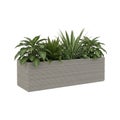 Modern wicker planter box filled with lush green plants and foliage Royalty Free Stock Photo