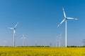 Modern wind turbines and flowering oilseed Royalty Free Stock Photo