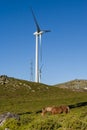 Modern windmill - Stock image