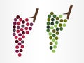 Modern wine grapes icon or logo in two variants - red and white wine grape