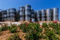 Modern winery. Stainless steel barrels for wine fermentation and roses Royalty Free Stock Photo