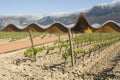 The modern winery of Ysios in Laguardia, Basque Country, Spain