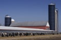 Modern Wisconsin Dairy Farm and Milk Cows Royalty Free Stock Photo