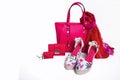 Modern women`s pink bag, purse, sandals and scarf on white background Royalty Free Stock Photo