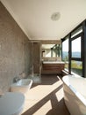 Modern wooden bathroom with large windows