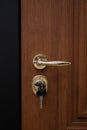 Modern wooden brown door with metal door handle Royalty Free Stock Photo