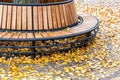 Modern wooden circle shaped bench installed around tree in city park or street covered with bright golden and yellow colored Royalty Free Stock Photo