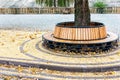 Modern wooden circle shaped bench installed around tree in city park or street covered with bright golden and yellow colored Royalty Free Stock Photo