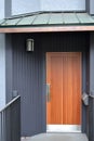 Modern wooden door