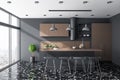 Modern wooden kitchen studio interor with green plant and city view