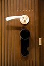 Modern wooden looking steel door, security electronic lock system