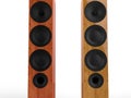 Modern wooden speakers - closeup - front view Royalty Free Stock Photo