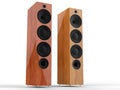 Modern wooden speakers Royalty Free Stock Photo