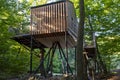 Modern wooden tree house in the forest Royalty Free Stock Photo