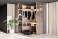 Modern wooden wardrobe with clothes Royalty Free Stock Photo