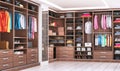 Modern wooden wardrobe with clothes hanging on rail in walk in closet design interior.