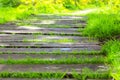 Modern wooden winding eco path, walkway goes far beyond the horizon in a botanical garden, city park, square, forest Royalty Free Stock Photo