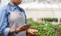 Modern work in greenhouse. African american girl with smartwatch and phone cares for plants