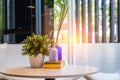 Modern workplace with tree pot and reed freshener on wooden table