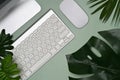 Modern workspace with computer, Monstera leaves and accessories on green background. Royalty Free Stock Photo