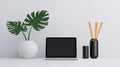 Modern workspace with plant and laptop Royalty Free Stock Photo