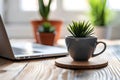 modern workspace with small plant in black cup beside laptop Royalty Free Stock Photo