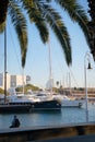 Modern yachts moored in the seaport. A man sits on a pier opposite the boats Royalty Free Stock Photo