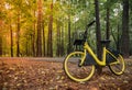 Modern yellow rental bike parked by a tree near a road in a morning city autumn park