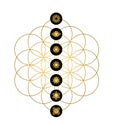 Modern yoga design chakra icons in gold color Royalty Free Stock Photo