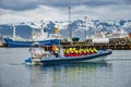 Modern Zodiac boat for big group of tourists is leaving the harbor of Husavik for whale watching safari, Iceland