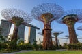 Singapore Marina Gardens by the bay