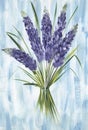 Modest and heartwarming bouquet of purple hyacinths isolated on gentle blue brush stroke background. Hand drawn
