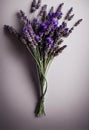 Modest lavender dried flowers bouquet against beige wall.