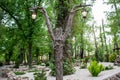 Modest, metal, rustic and fabulous lantern with warm orange and yellow light.