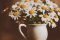 Modest summer bouquet of white delicate chamomile in vase on table