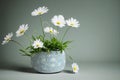 Modest summer bouquet of white delicate chamomile in vase on table