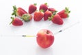 Modified food, fruits,apple and strawberries with punched needles and syringes / isolatet on a white background Royalty Free Stock Photo