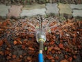 Modifying a water bottle into a sprinkler. Royalty Free Stock Photo