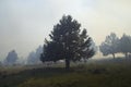Modoc County California prescribed burn Royalty Free Stock Photo