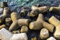 Modular concrete blocks Riprap, also known as rip rap, rip-rap, shot rock, rock armor, or rubble used to armor shoreline