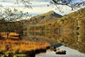 Moel Hebog from Llyn Gynant shore Royalty Free Stock Photo