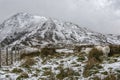 Moel Siabod Snowdonia National Park Nort Wales Royalty Free Stock Photo