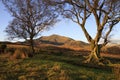 Moel Siabod Royalty Free Stock Photo