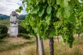 Moenchberg grand cru vineyards in Andlau, France Royalty Free Stock Photo