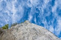 Moens klint chalk cliffs Royalty Free Stock Photo
